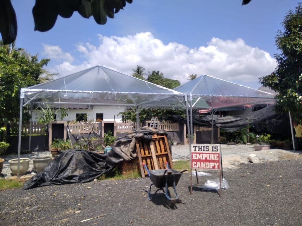 Canopy Transparent